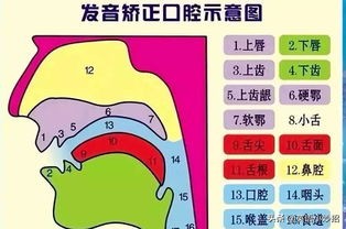 学车入门基础视频教程_学英语零基础入门教程_英语入门基础学