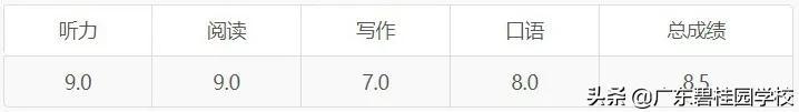 陈一朗：雅思总分8.5、7，重点是什么？缩略图