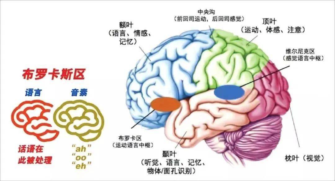 菲律宾学6个月英语_学菲律宾语言的软件_菲律宾学英语